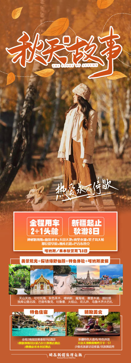 源文件下載【新疆喀納斯旅游海報】編號：79180019424247563