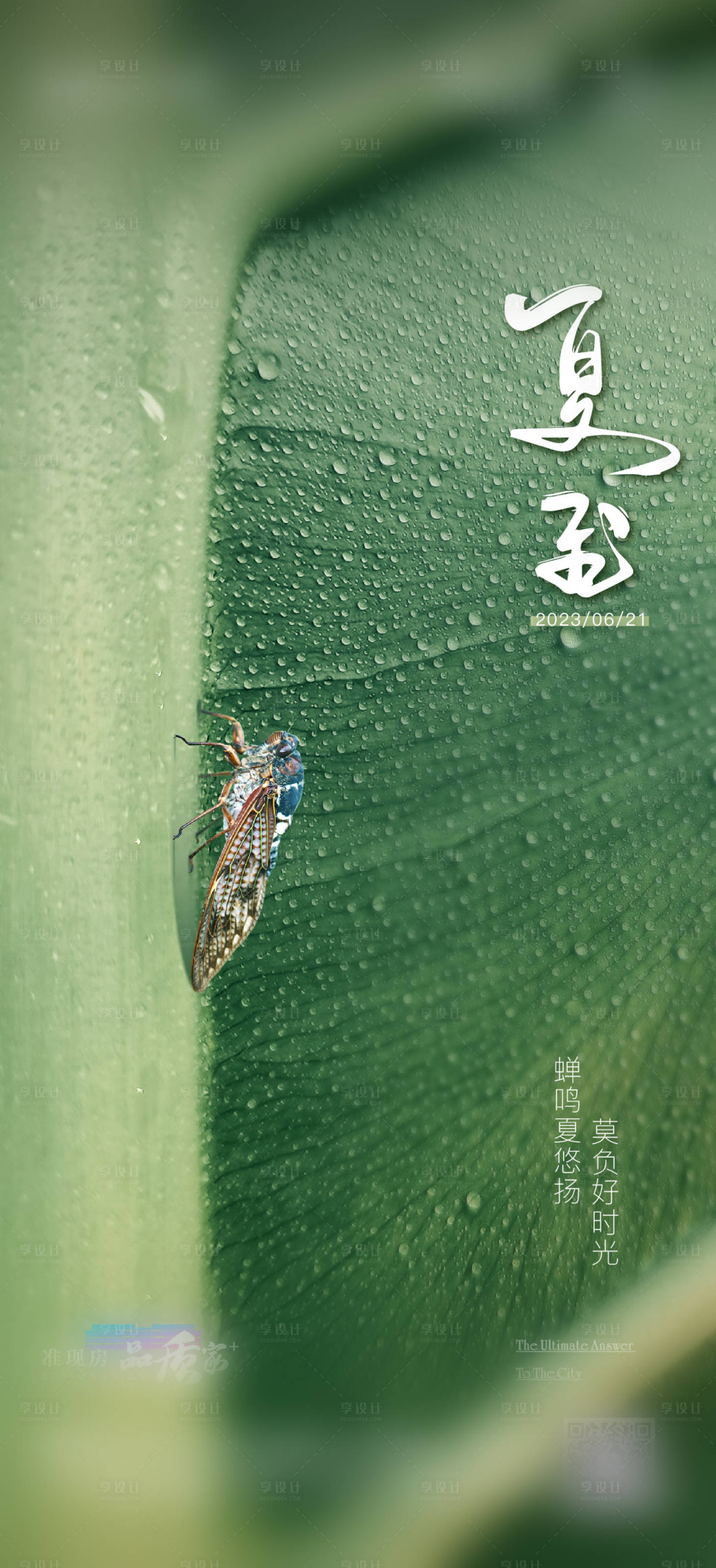 源文件下载【享设计】搜索编号：33390017455463348【夏至节气海报】