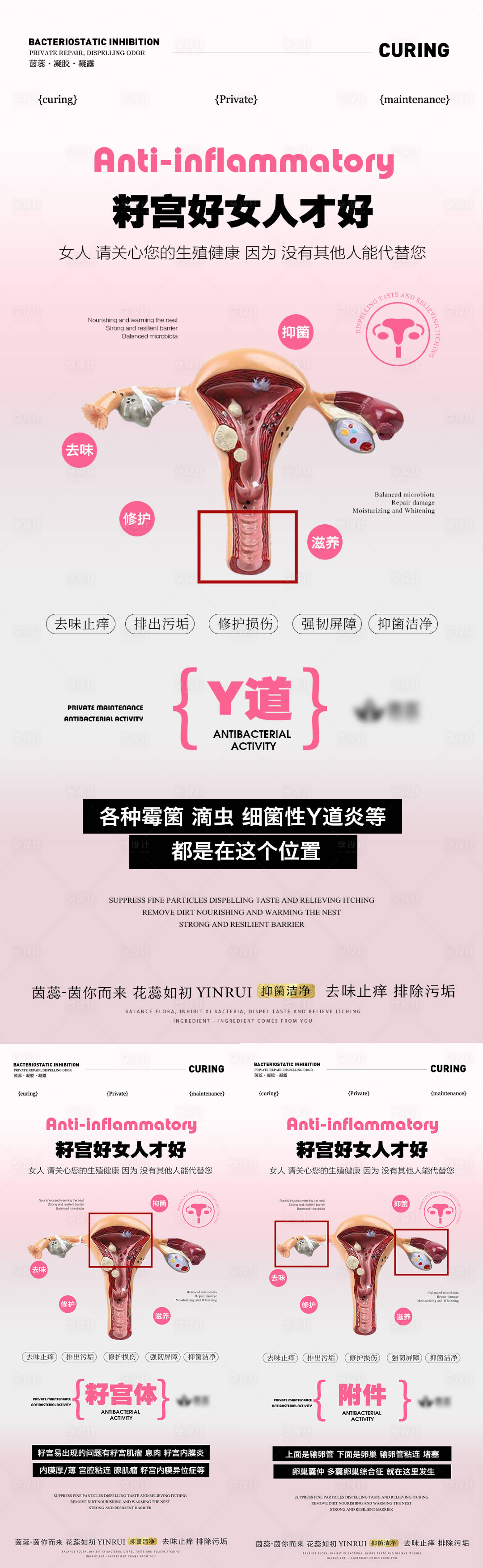 源文件下載【私密子宮好女人才能更好海報】編號：96200019768682310