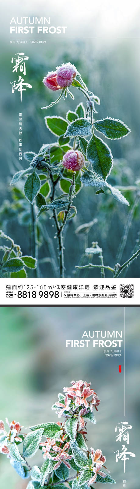 霜降节气海报