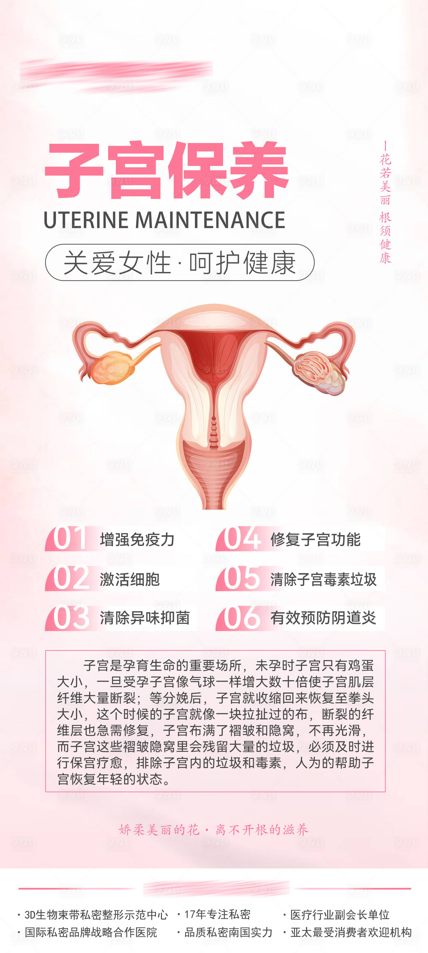 源文件下载【子宫保养】编号：79240019765387310