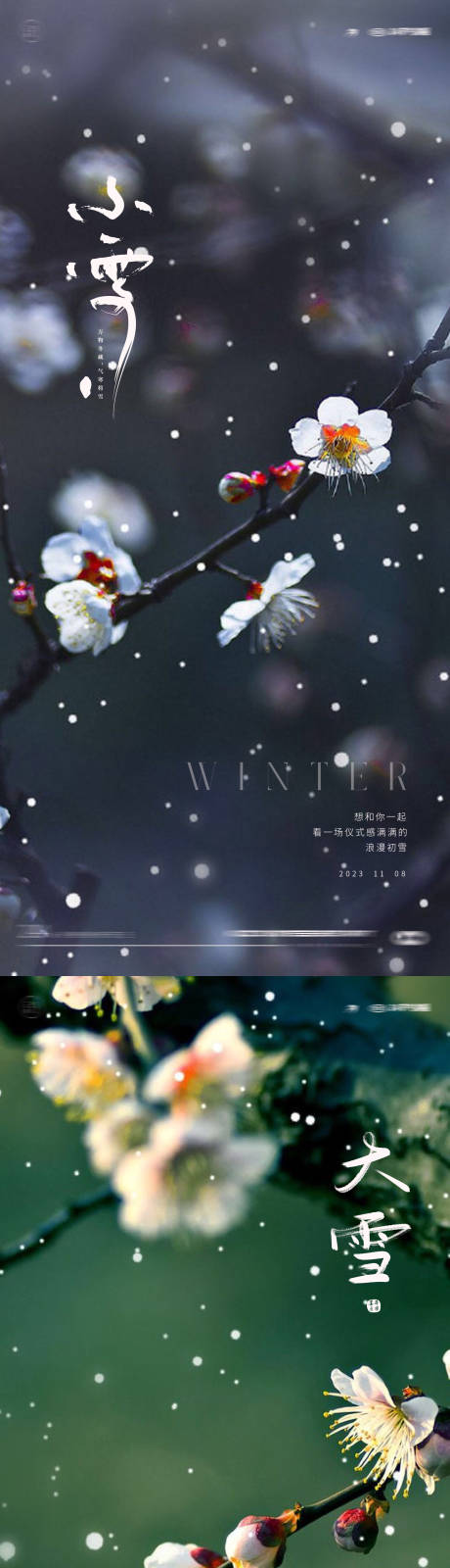 源文件下載【享設計】搜索編號：29340020077632576【小雪大雪海報】