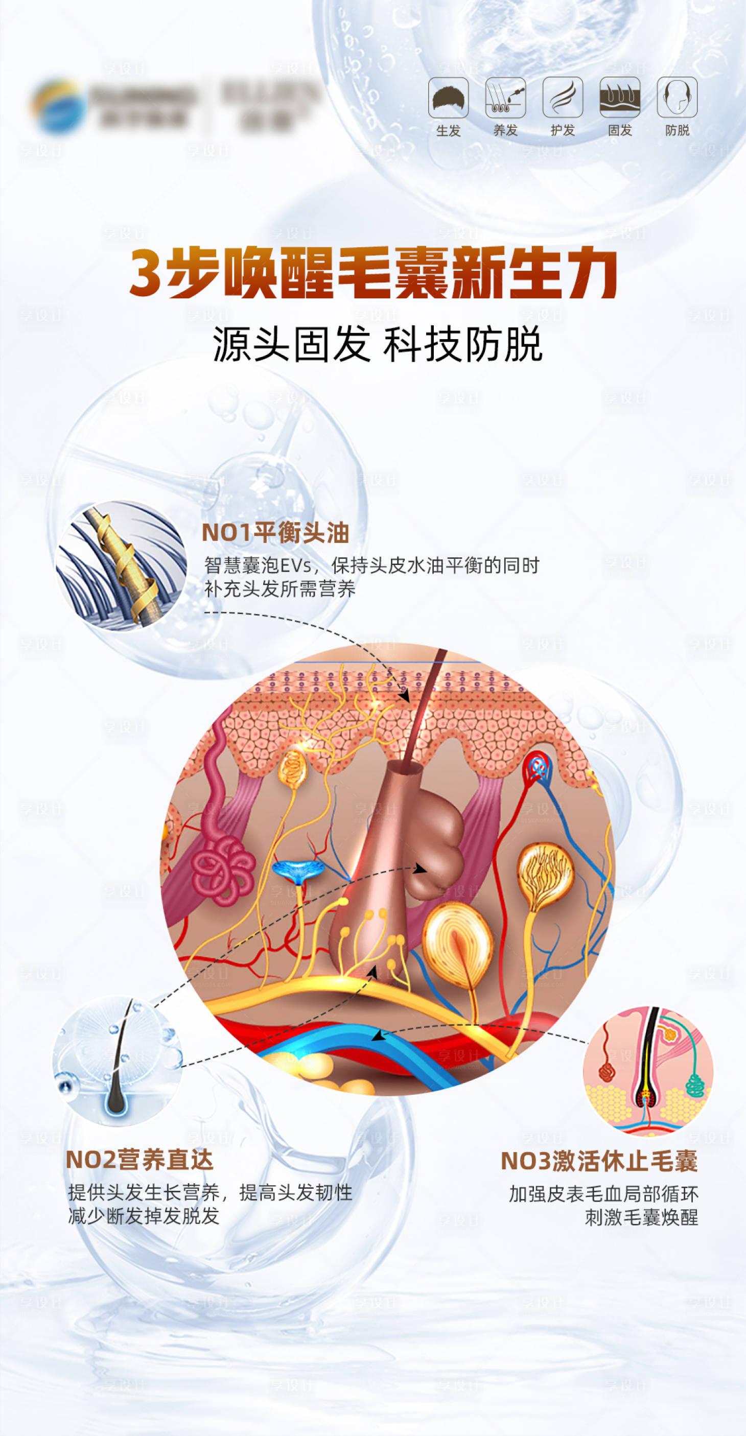 源文件下載【享設計】搜索編號：54970019747681469【毛發翊霖產品外泌體海報】