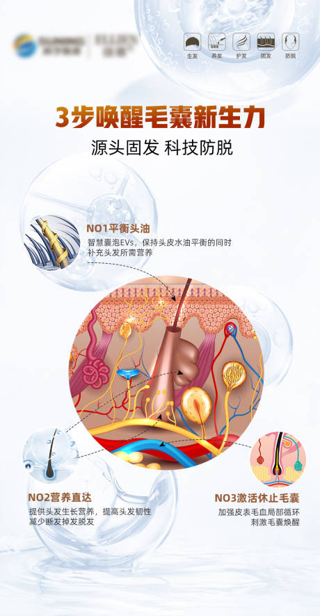 源文件下载【毛发翊霖产品外泌体海报】编号：20231011110531649