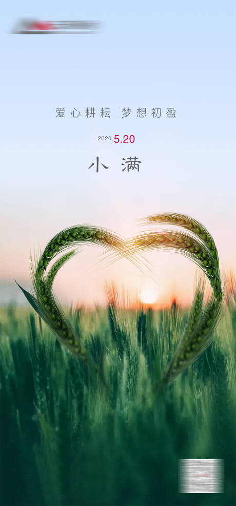 源文件下载【小满节气海报】编号：58030019922152646