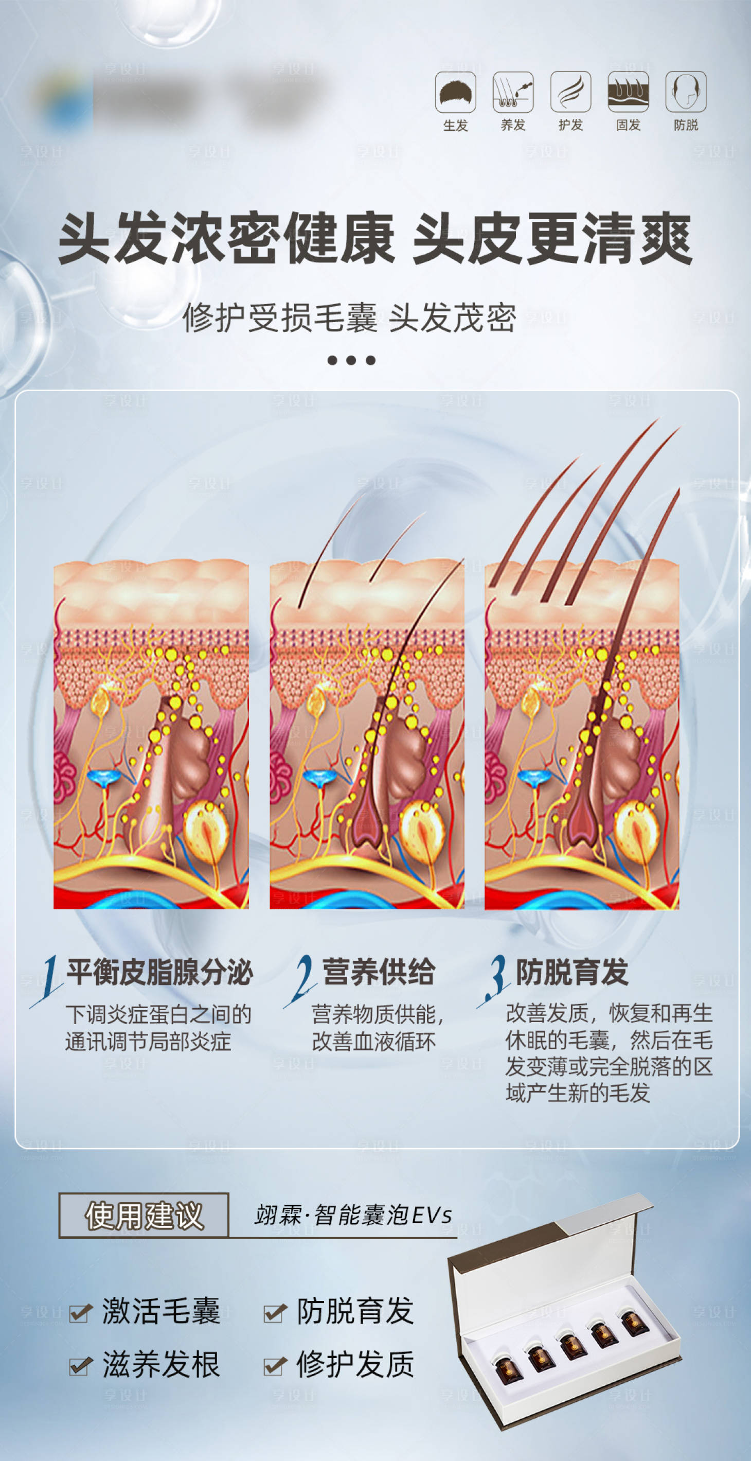 源文件下载【享设计】搜索编号：17760019677536560【防脱产品海报】