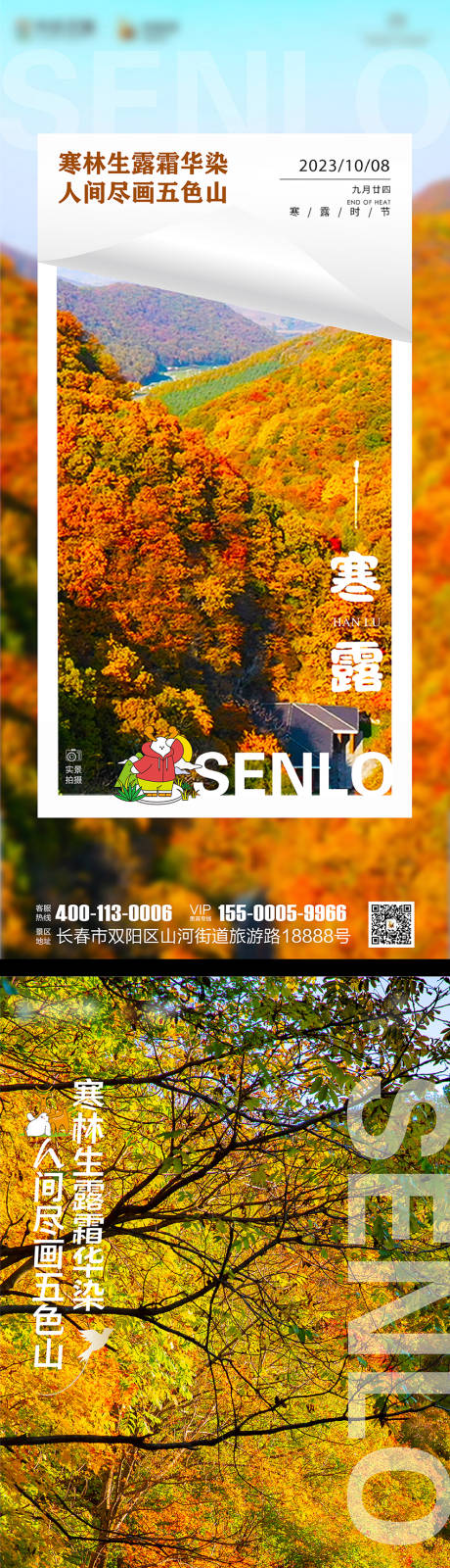 源文件下载【寒露海报】编号：97650019696817628