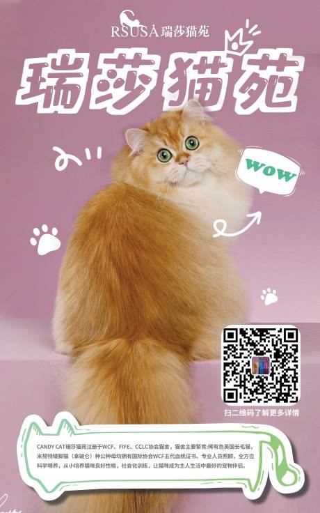 源文件下载【猫咪海报】编号：28170019724743983