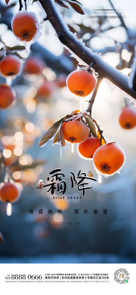 源文件下載【享設計】搜索編號：44710019959885858【霜降海報】