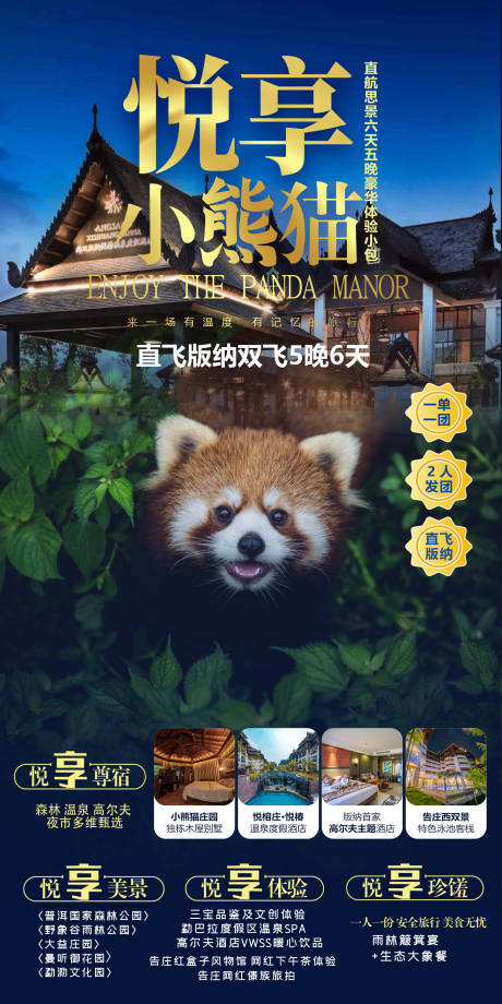 版纳小熊猫旅游海报