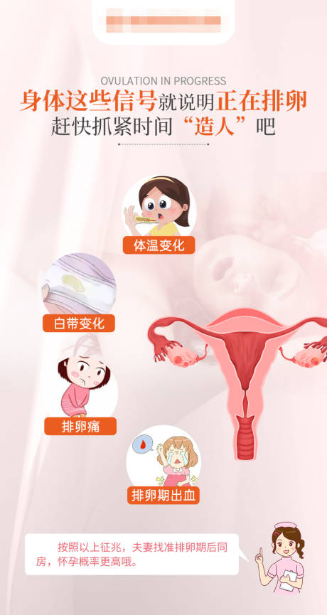 源文件下载【排卵期知识点海报】编号：61170019689097851