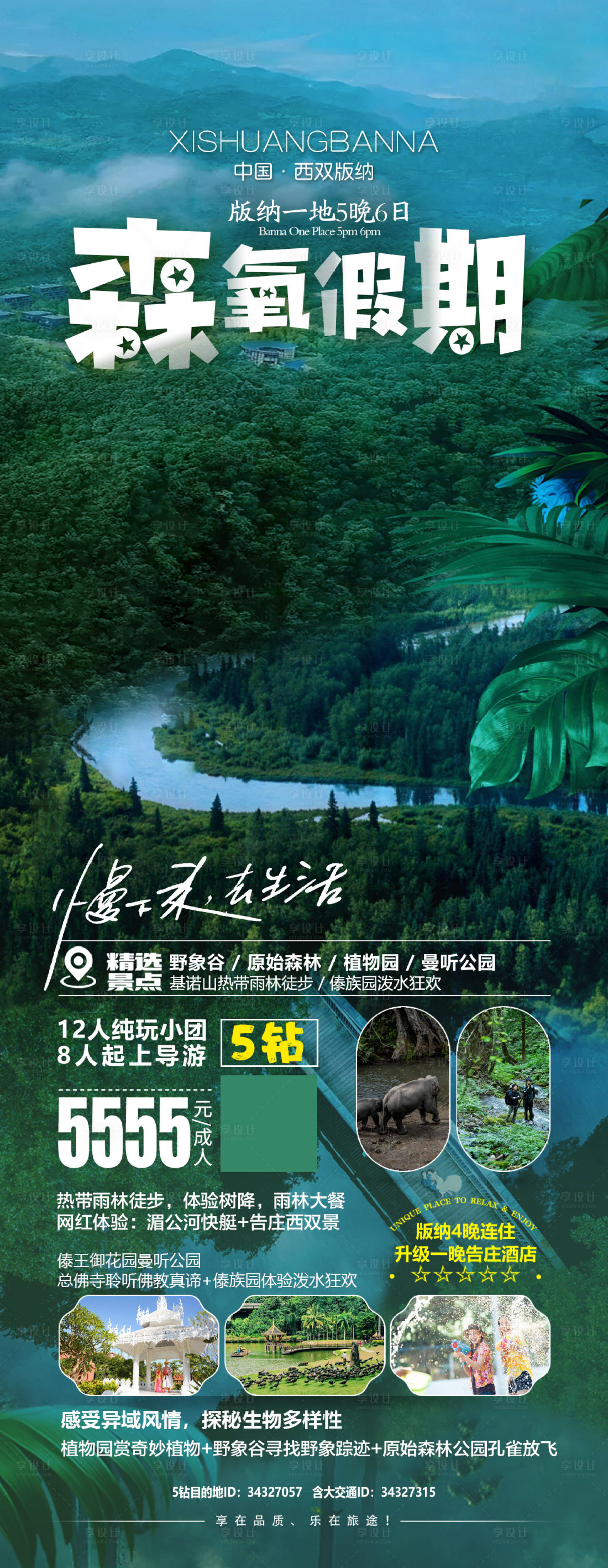源文件下载【享设计】搜索编号：92640019770653649【森氧假期版纳旅游海报】
