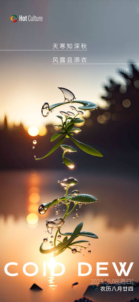 节气海报