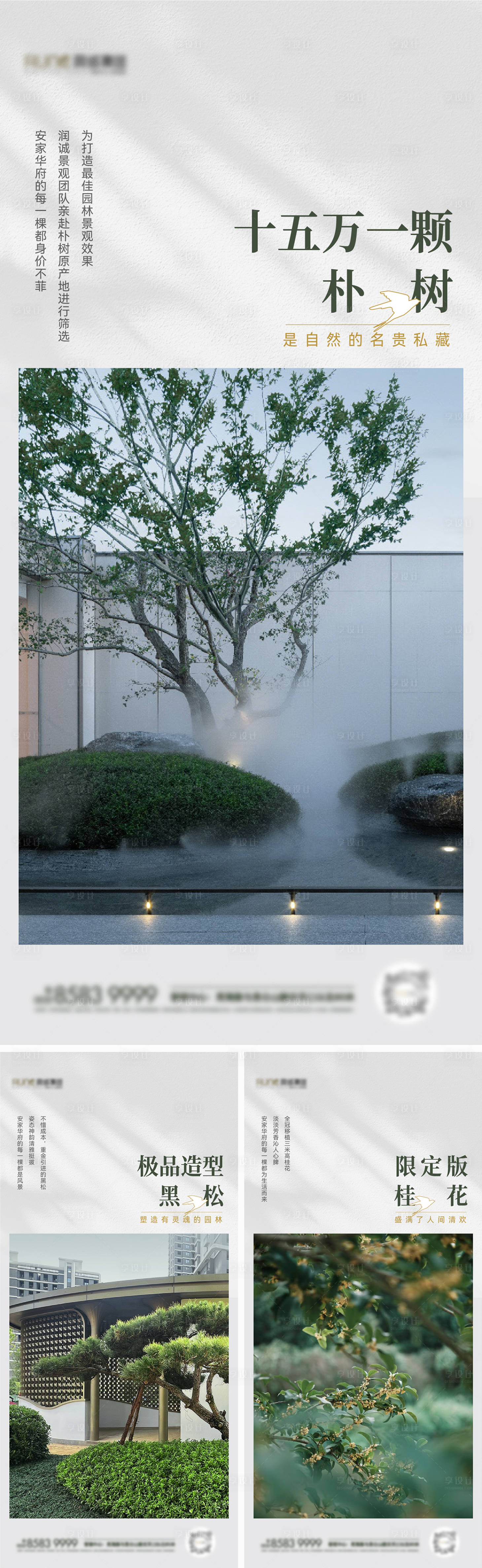 源文件下載【享設計】搜索編號：72060020071448541【地產園林價值系列海報】