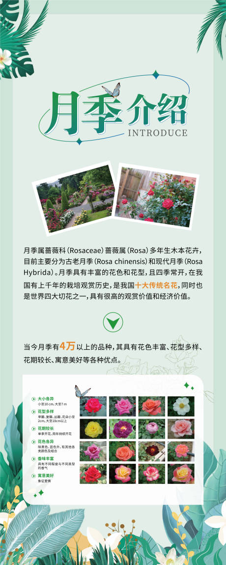 源文件下载【绿色植物展架 】编号：90620020073424614
