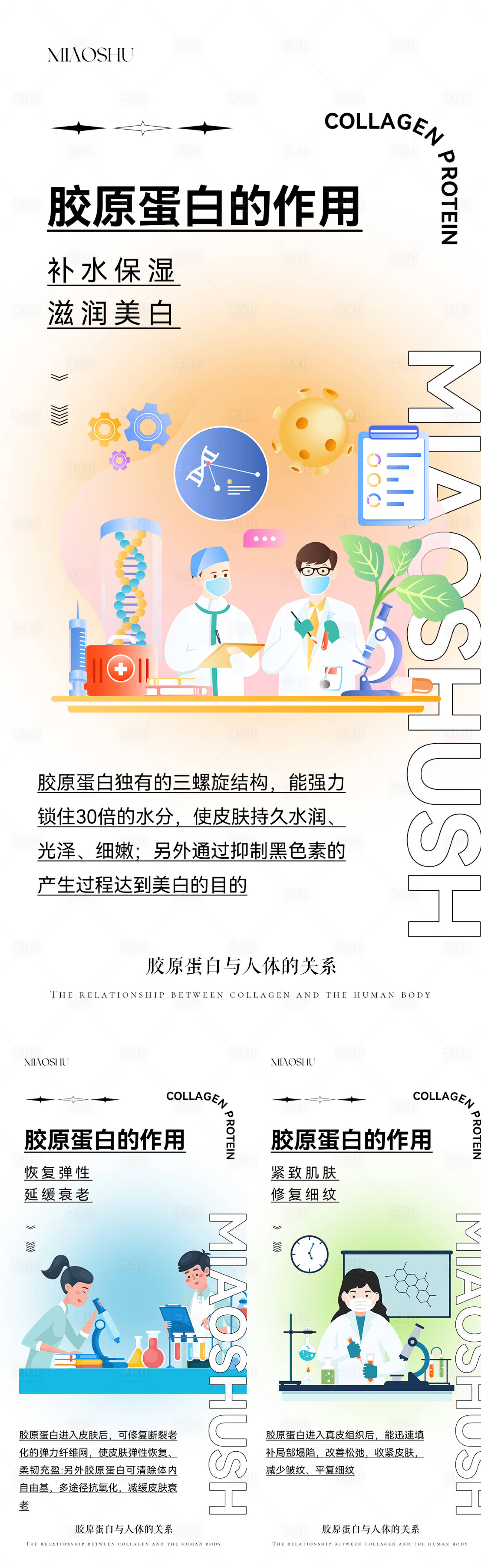 源文件下载【享设计】搜索编号：63310019702031137【胶原蛋白的作用】