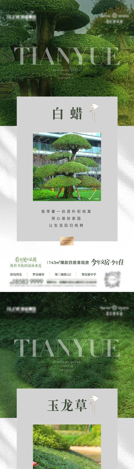 编号：20231027171509584【享设计】源文件下载-地产园林价值系列海报
