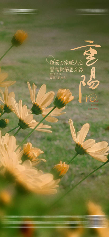 源文件下载【地产重阳节海报】编号：11930019898456433