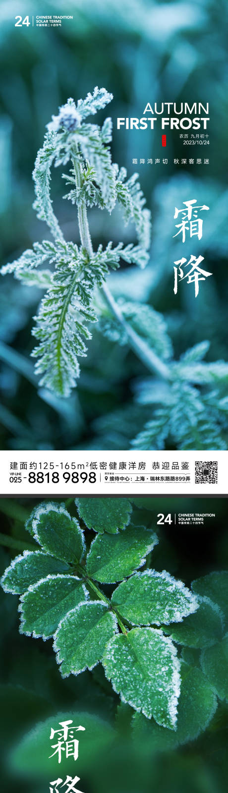 源文件下载【享设计】搜索编号：95280019767838651【霜降节气海报】