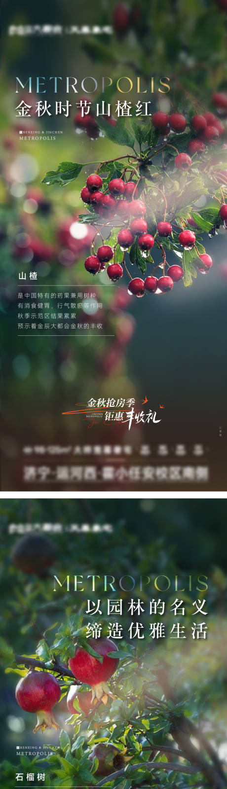 源文件下载【园林景观果树价值点】编号：62120019745892690