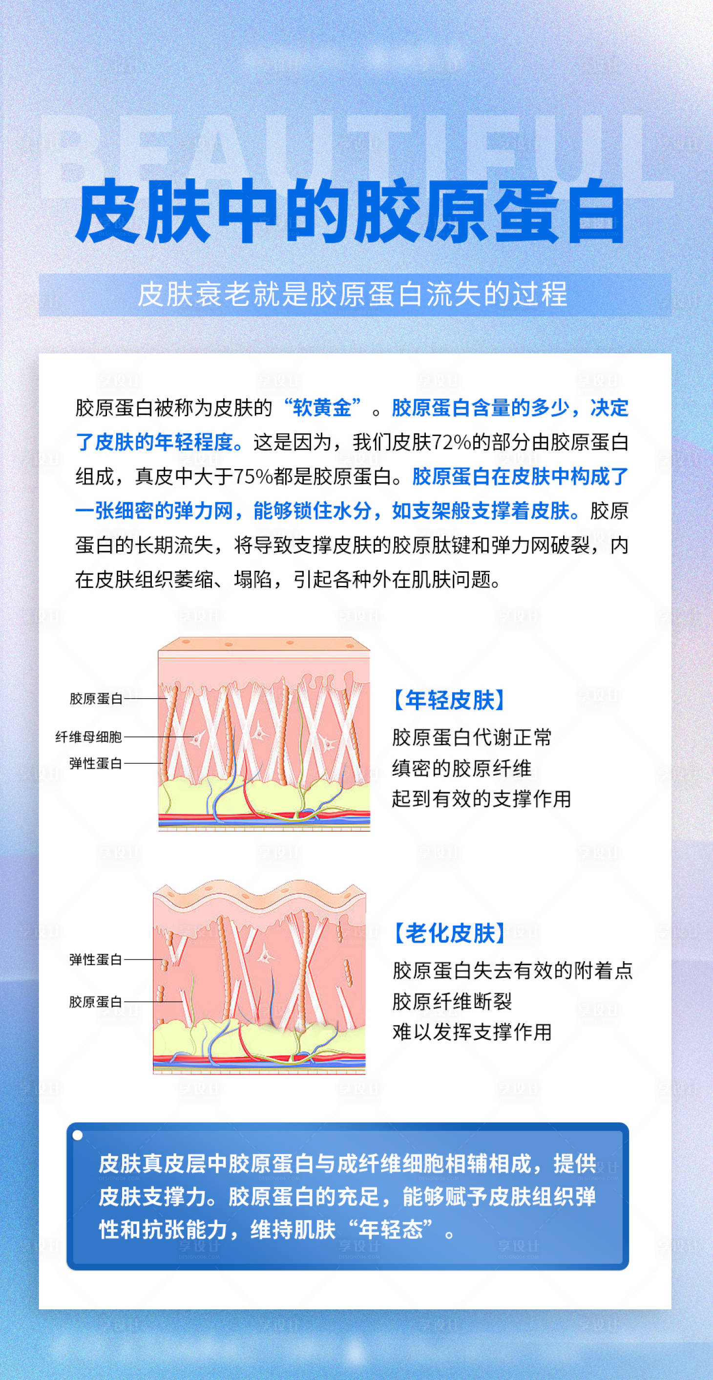 源文件下载【享设计】搜索编号：42010019886994150【皮肤胶原蛋白知识医美日签海报】
