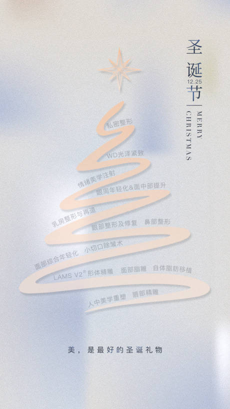 源文件下载【医美圣诞节海报】编号：50630019672399549