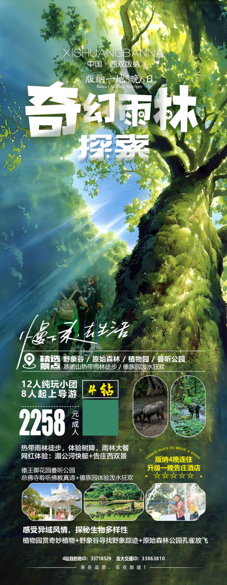 源文件下载【奇幻雨林探索海报 】编号：20231012115701003