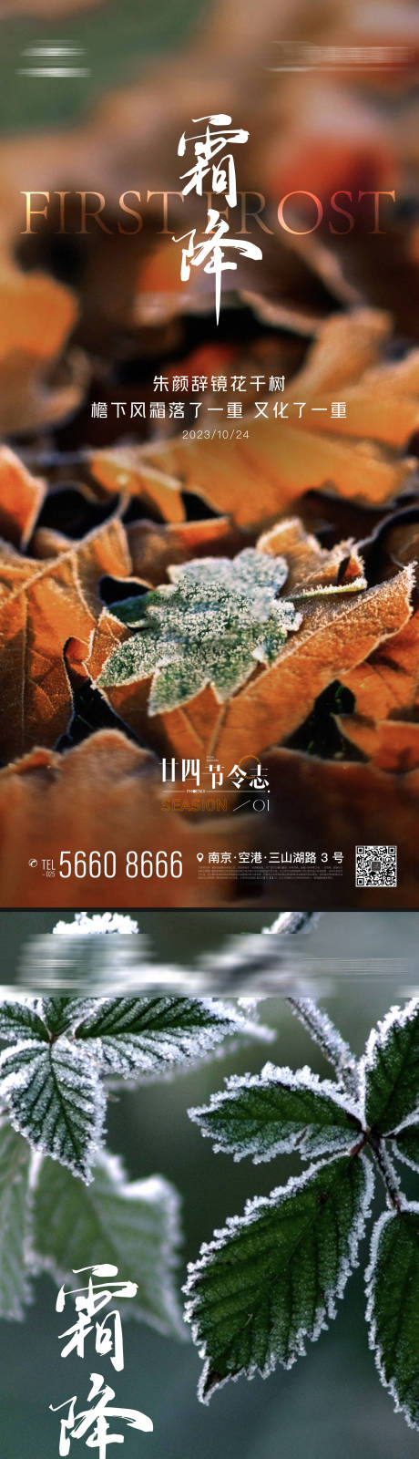 地产节日节气霜降落叶海报-源文件【享设计】