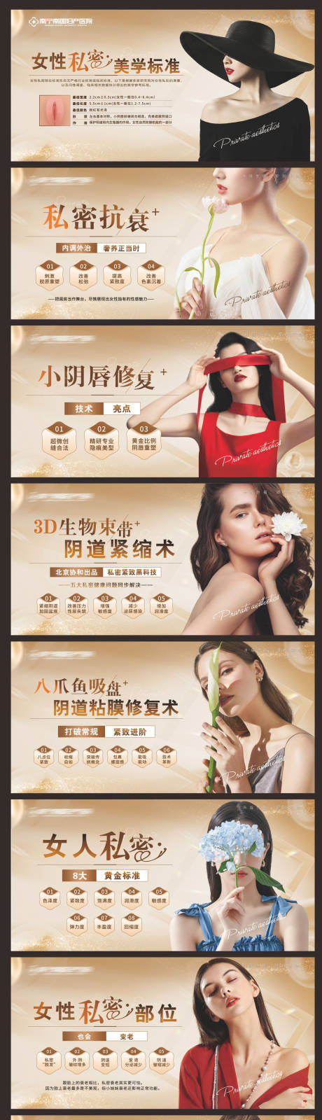 源文件下载【医美私密美学展板】编号：58500019713163918