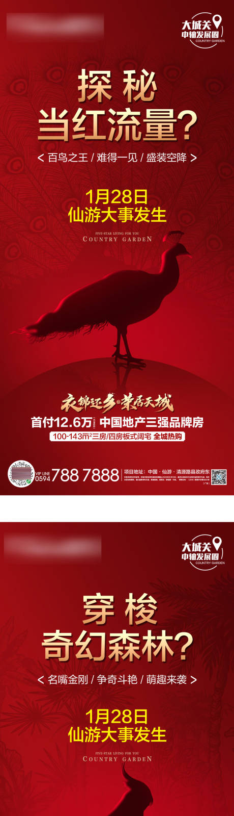 编号：20231007203428338【享设计】源文件下载-百鸟展活动DIY系列海报