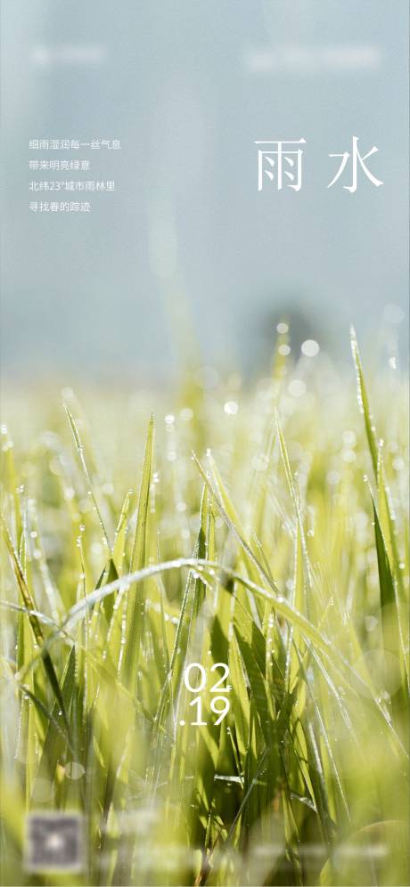 源文件下载【雨水节气海报】编号：68240019704066981