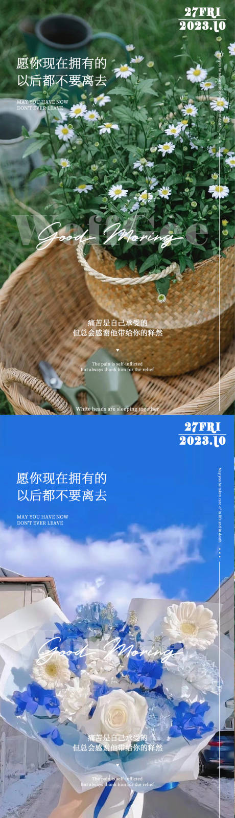 源文件下載【醫(yī)美早安圖系列海報(bào)】編號(hào)：69580020057161312
