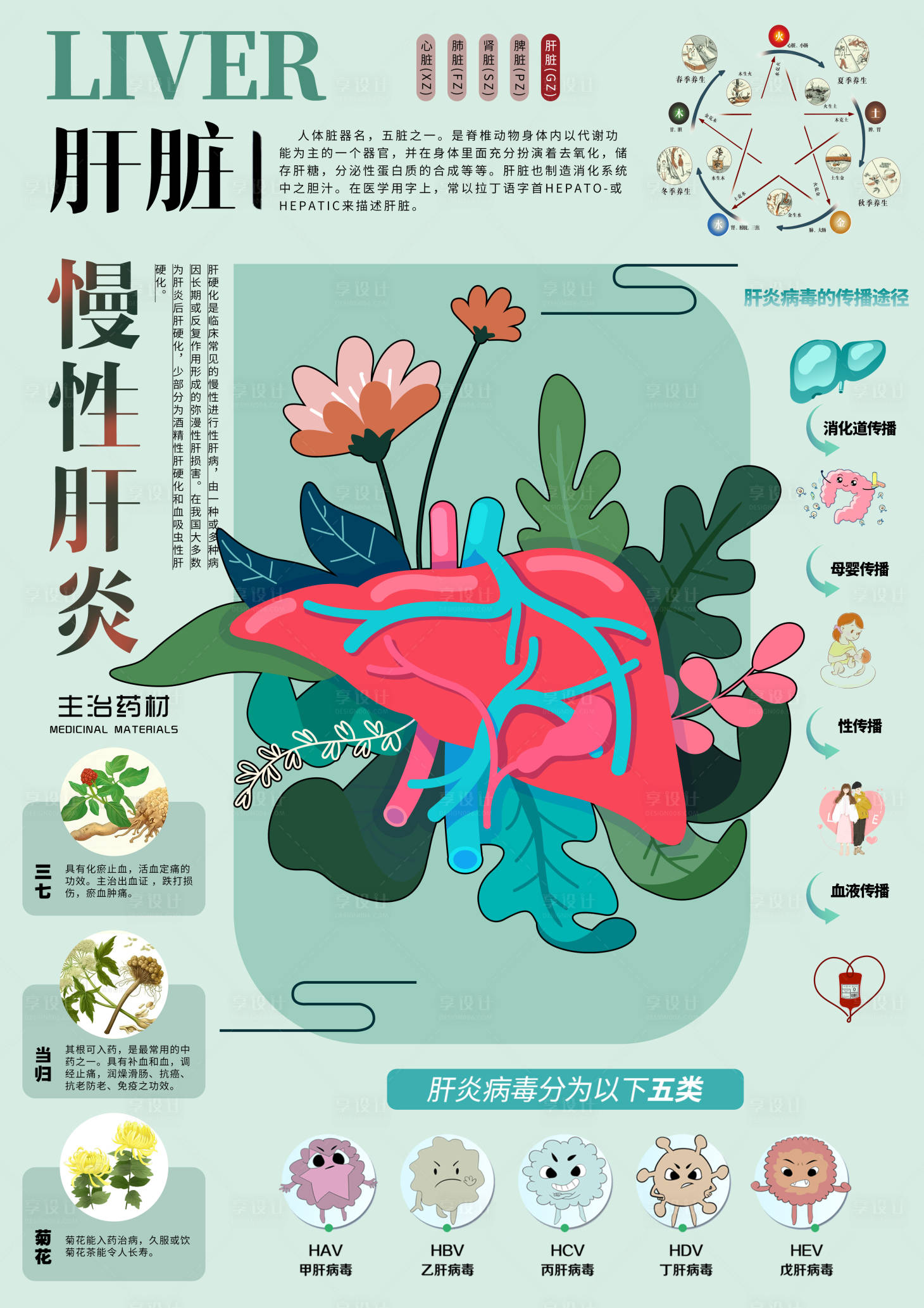 源文件下载【享设计】搜索编号：56470020101406645【中医医学内脏肝脏传染病介绍插画海报】