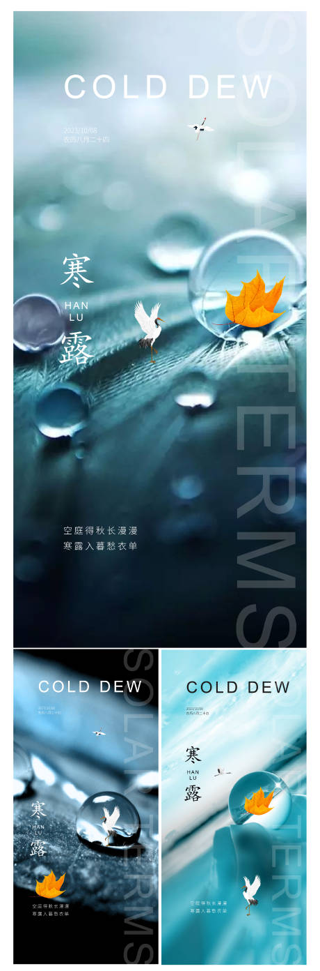 源文件下载【节气寒露海报】编号：44720019656406079