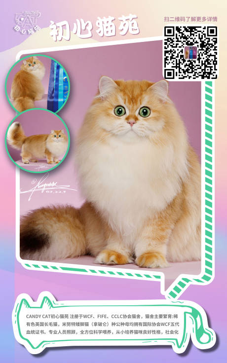 源文件下载【猫咪卡通海报】编号：41060019727959034