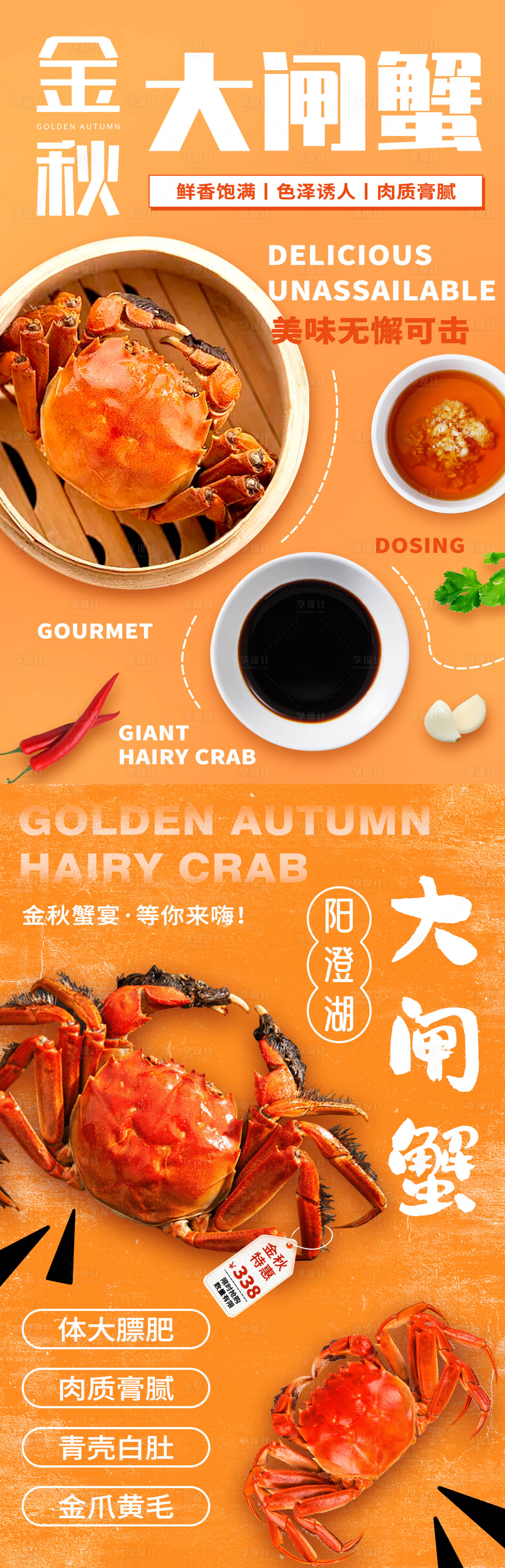 源文件下載【享設計】搜索編號：65370019959523670【金秋大閘蟹海報】