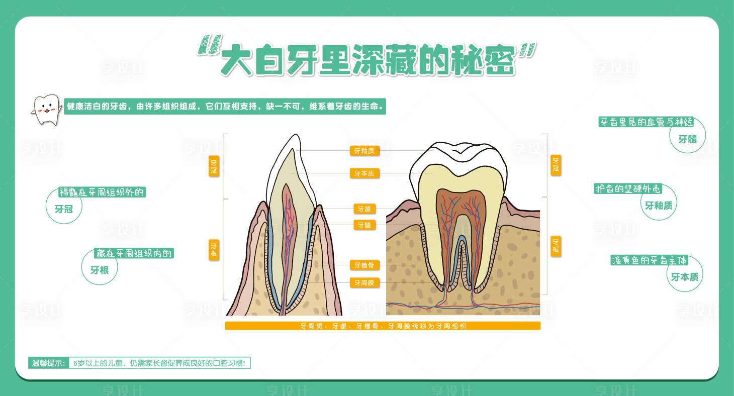 源文件下载【大白牙里深藏的秘密科普背景板】编号：20231008093349667