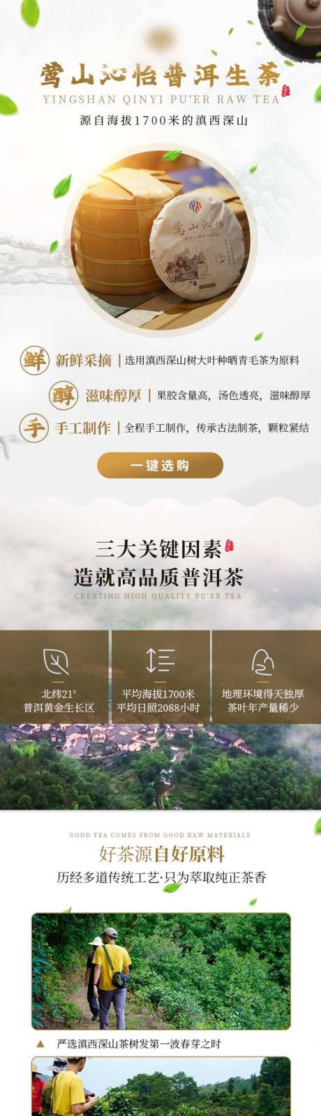 源文件下载【茶叶电商详情页】编号：90660019754117306