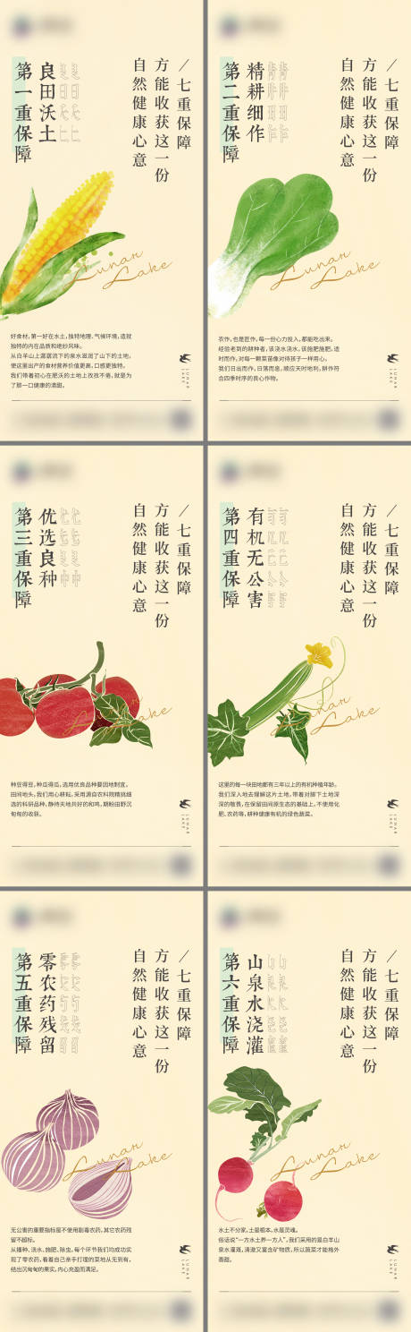 源文件下载【地产玥生态蔬菜系列单图】编号：50280019965919375