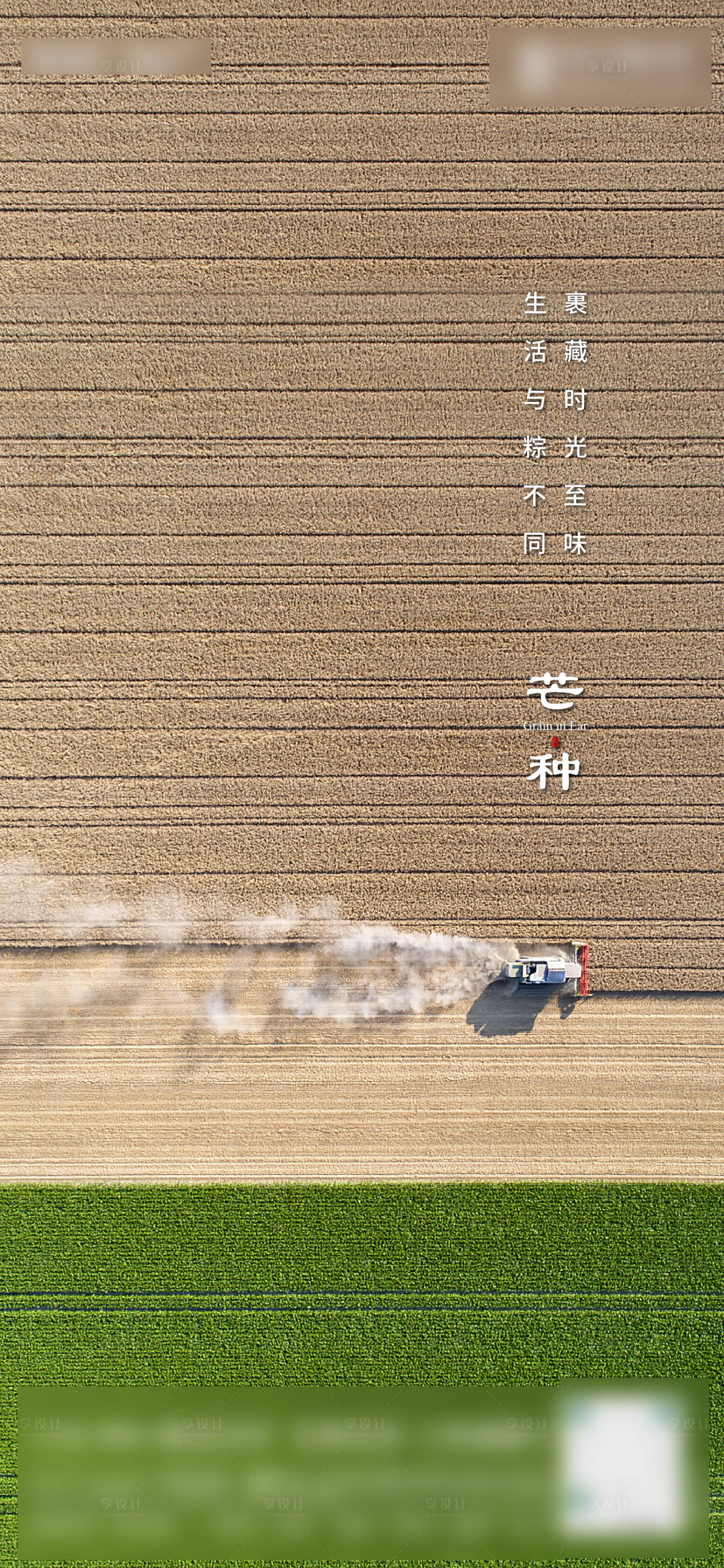 源文件下載【享設計】搜索編號：39830019609061536【芒種節氣海報】