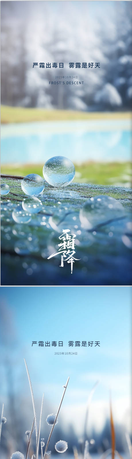 源文件下载【大气简洁霜降海报】编号：28750019984765318