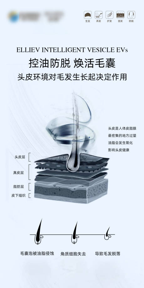 源文件下载【防脱产品海报】编号：98800020059734767