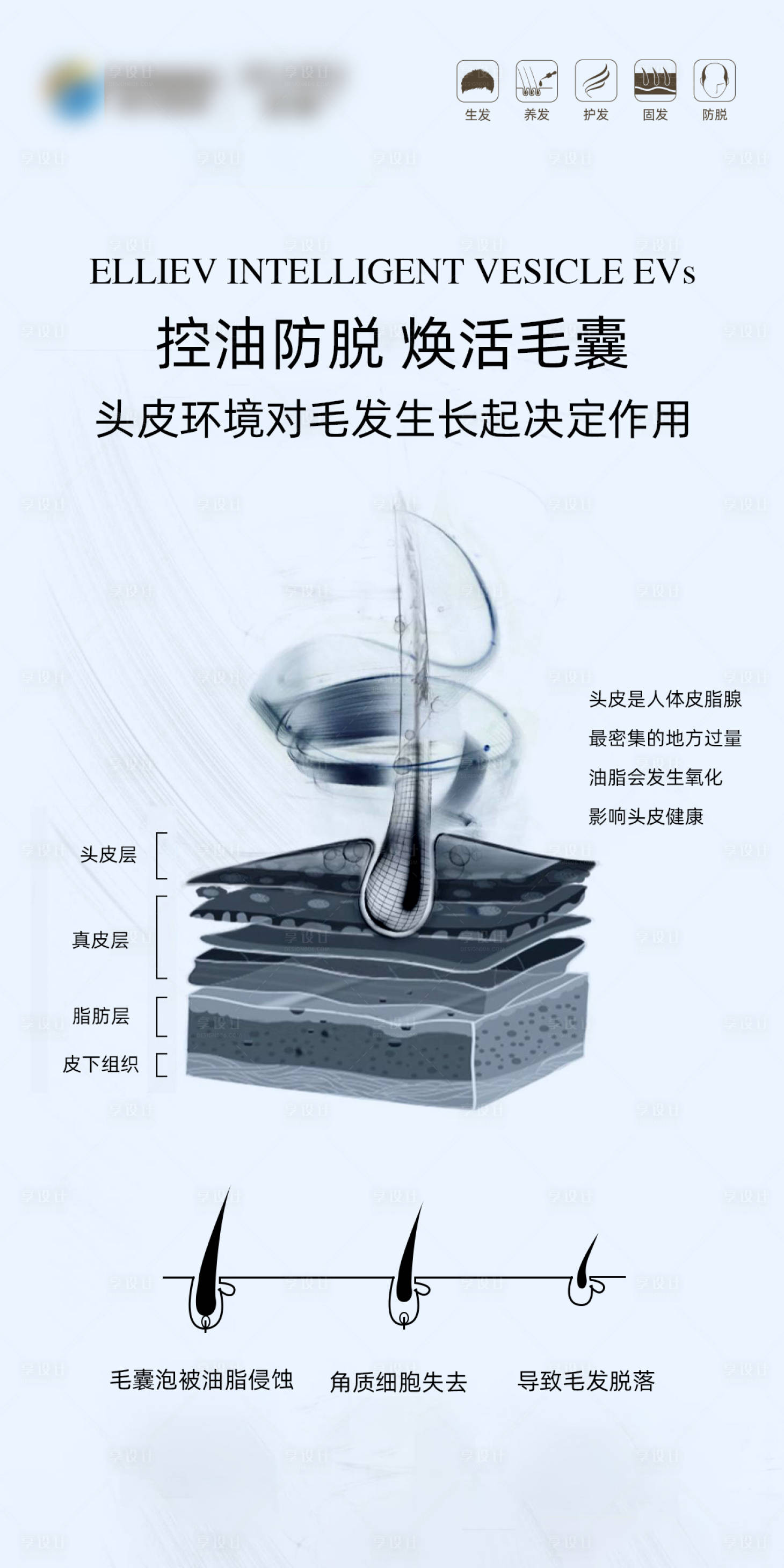源文件下載【享設(shè)計】搜索編號：98800020059734767【防脫產(chǎn)品海報】