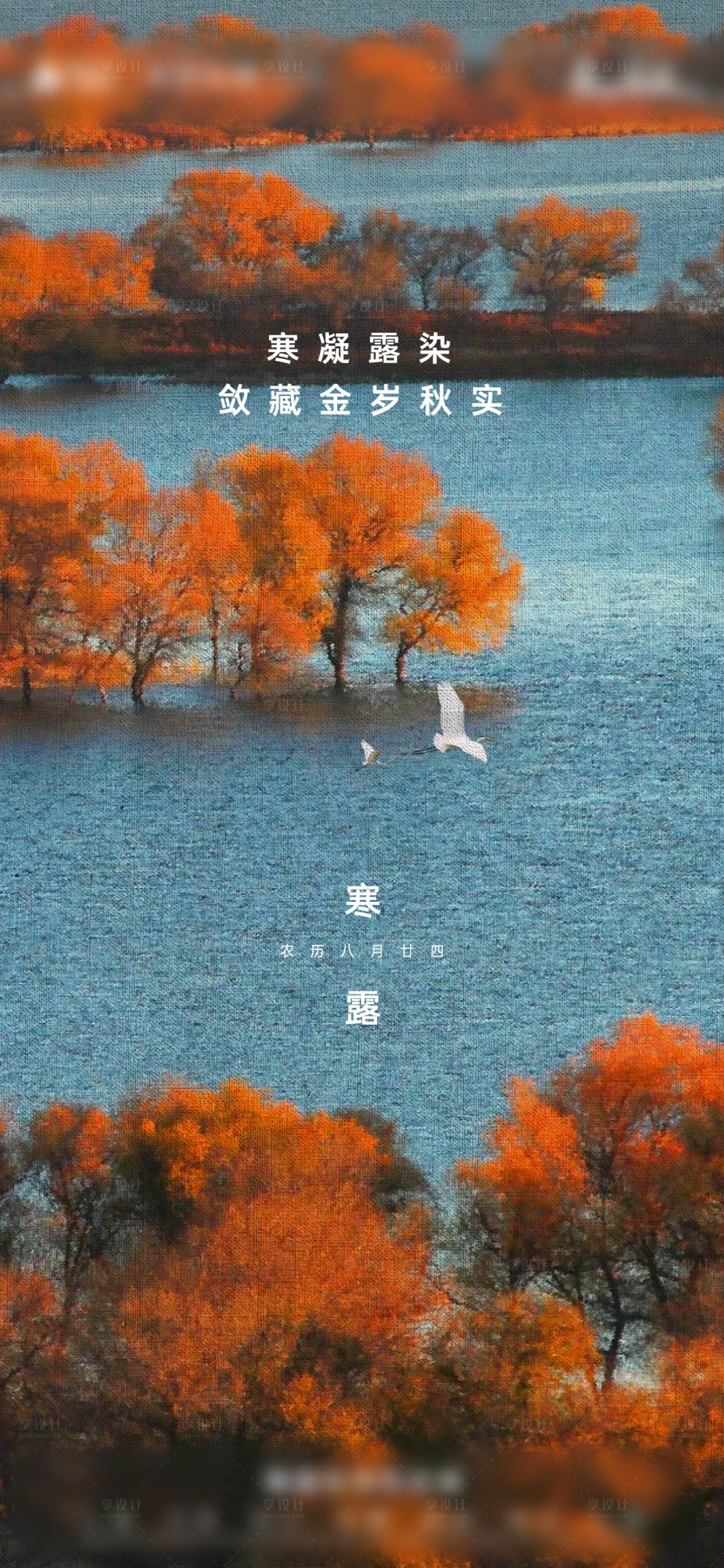 源文件下載【享設(shè)計】搜索編號：54240019993719130【寒露節(jié)氣海報】