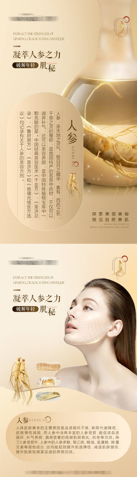 源文件下载【人参套盒海报】编号：89560019778387420