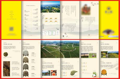 源文件下载【茶叶六折页】编号：21810019728446131