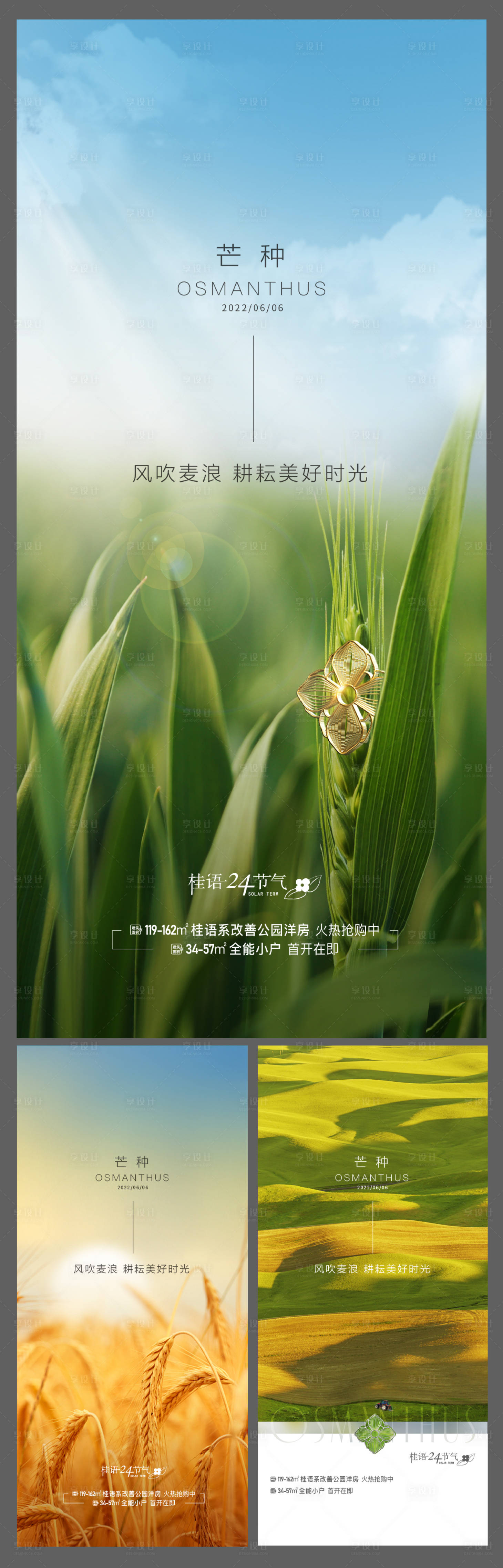 源文件下载【芒种节气】编号：75770019638012412