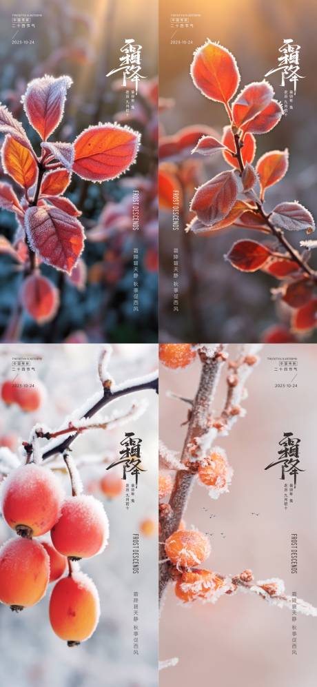 源文件下载【享设计】搜索编号：35390019793464635【霜降节气海报】