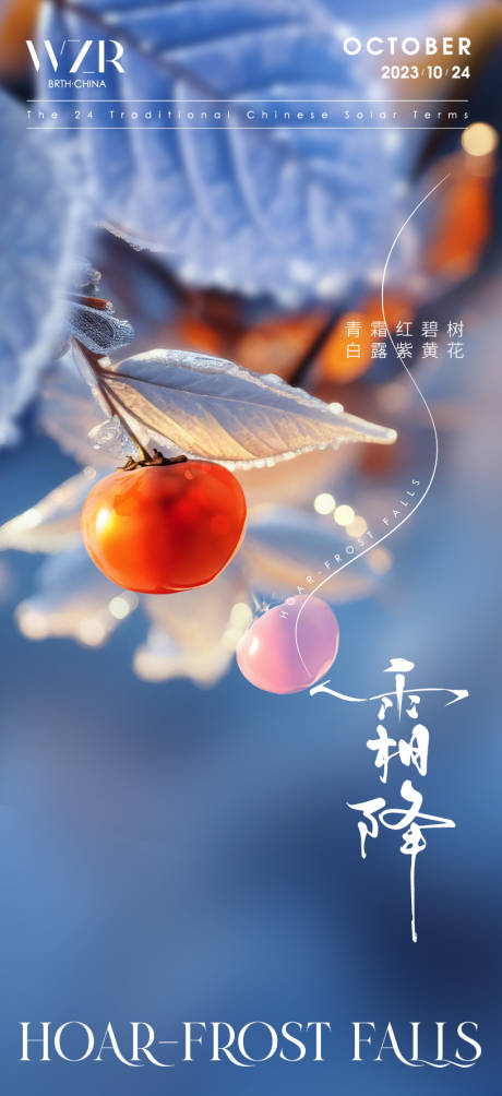 源文件下载【享设计】搜索编号：35500019965826184【霜降柿子节气移动端海报】