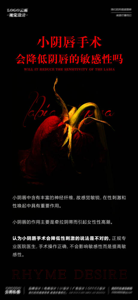 源文件下载【私密小阴唇海报】编号：88200020598897535